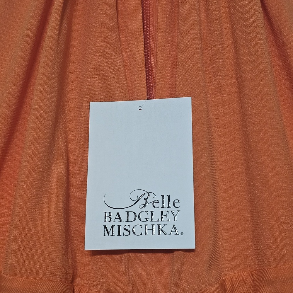 Badgley Mischka Dress Size 0 Fit X Orange Halter Ruched Sleeveless Long Maxi 350 - Picture 7 of 16